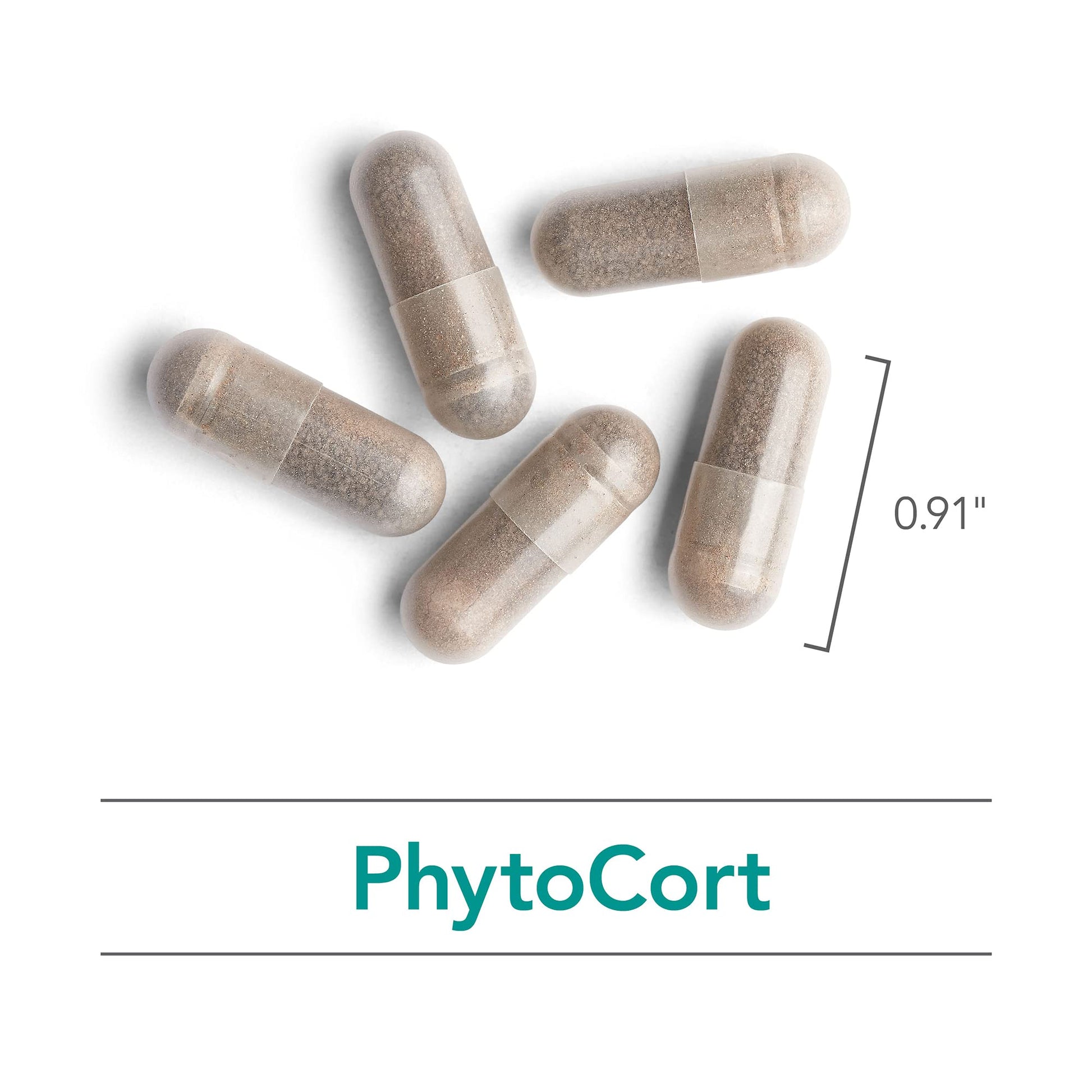 Nutricology PhytoCort Supplement - Respiratory Support, Lung Health, Lung Detox, Lung Cleanse, Healthy Breathing, Herbal Support, Reishi, Licorice, Noni, Vegetarian Capsules - 120 Count - dailyvitalstore