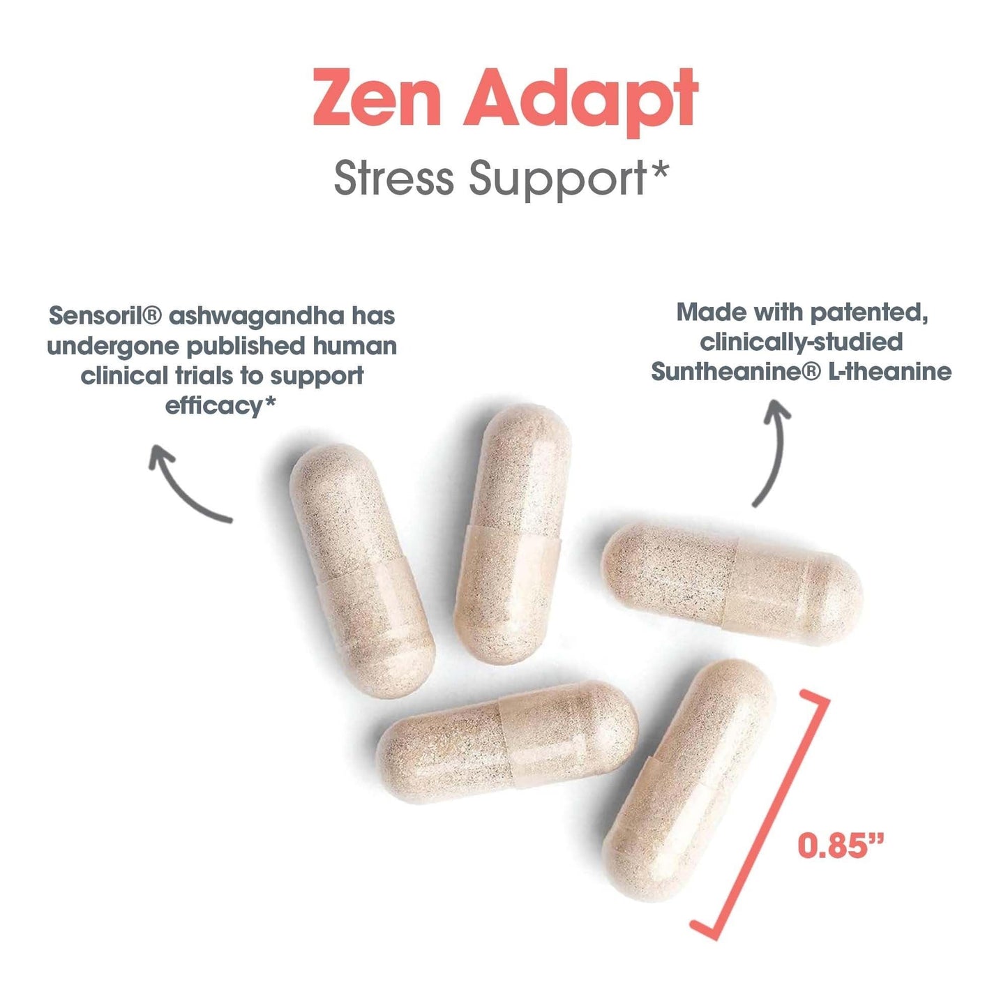 NutriCology ZenMind Adapt - 200 mg L-Theanine, 125 mg Ashwagandha & 550 mg GABA - Supports Stress Response and Calmness - Vegetarian Capsules - Hypoallergenic Formula - 30 Servings - 60 Capsules - dailyvitalstore