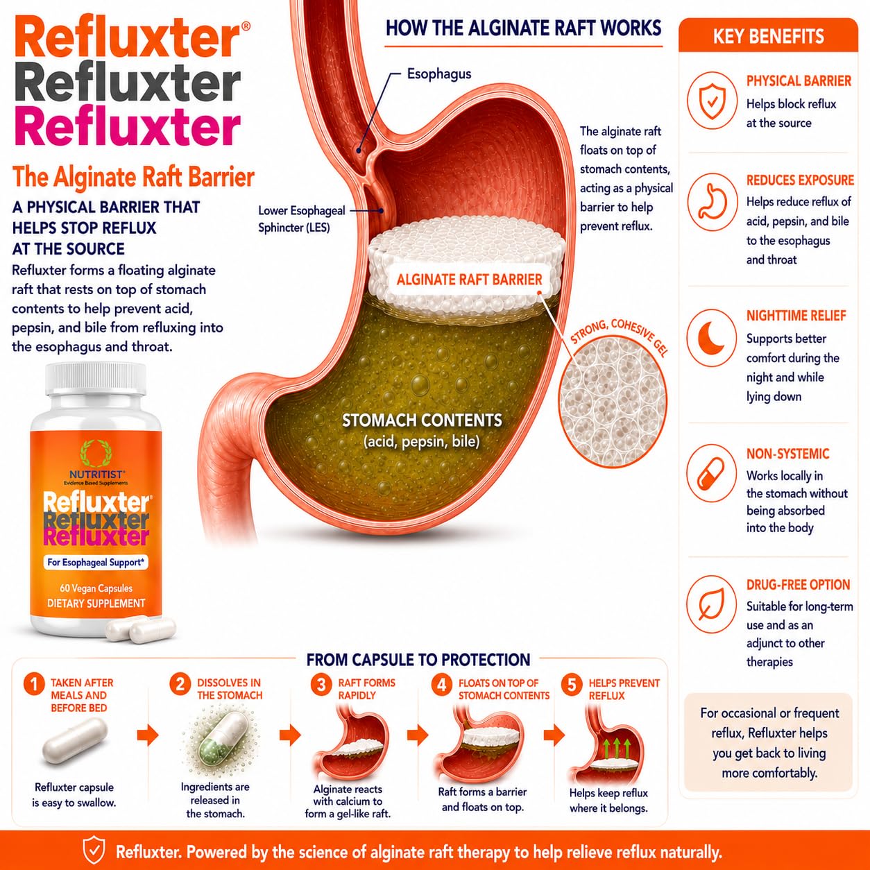 Nutritist Refluxter Sodium Alginate Capsules – Natural Acid Reflux & GERD Relief Supplement. Supports LPR, Silent Reflux, Heartburn, Indigestion - dailyvitalstore