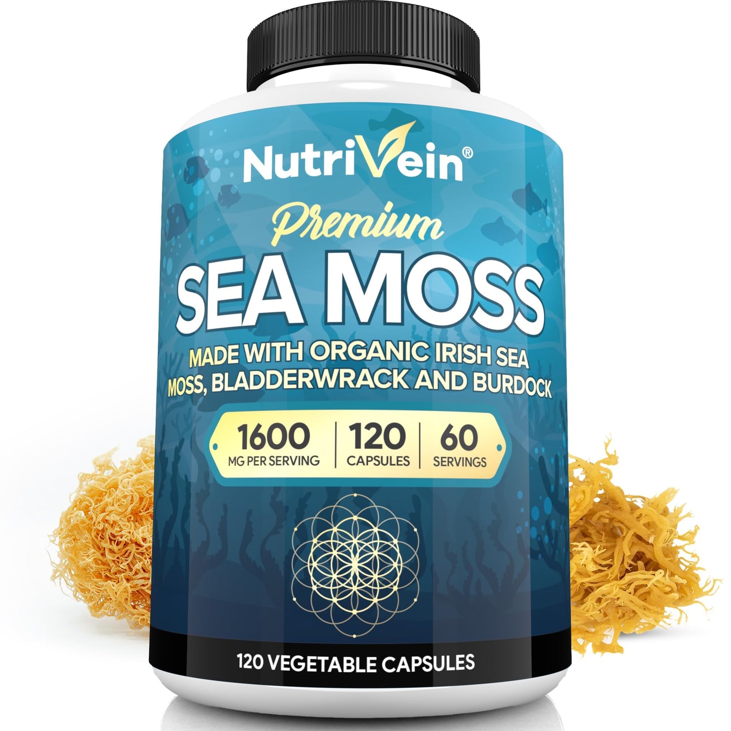 Nutrivein Organic Sea Moss 1600mg Plus Bladderwrack & Burdock - 120 Caps for Adults - Prebiotic Super-Food - Immune System & Digestive Health - dailyvitalstore