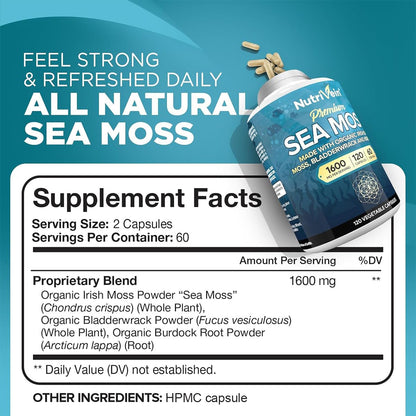 Nutrivein Organic Sea Moss 1600mg Plus Bladderwrack & Burdock - 120 Caps for Adults - Prebiotic Super-Food - Immune System & Digestive Health - dailyvitalstore