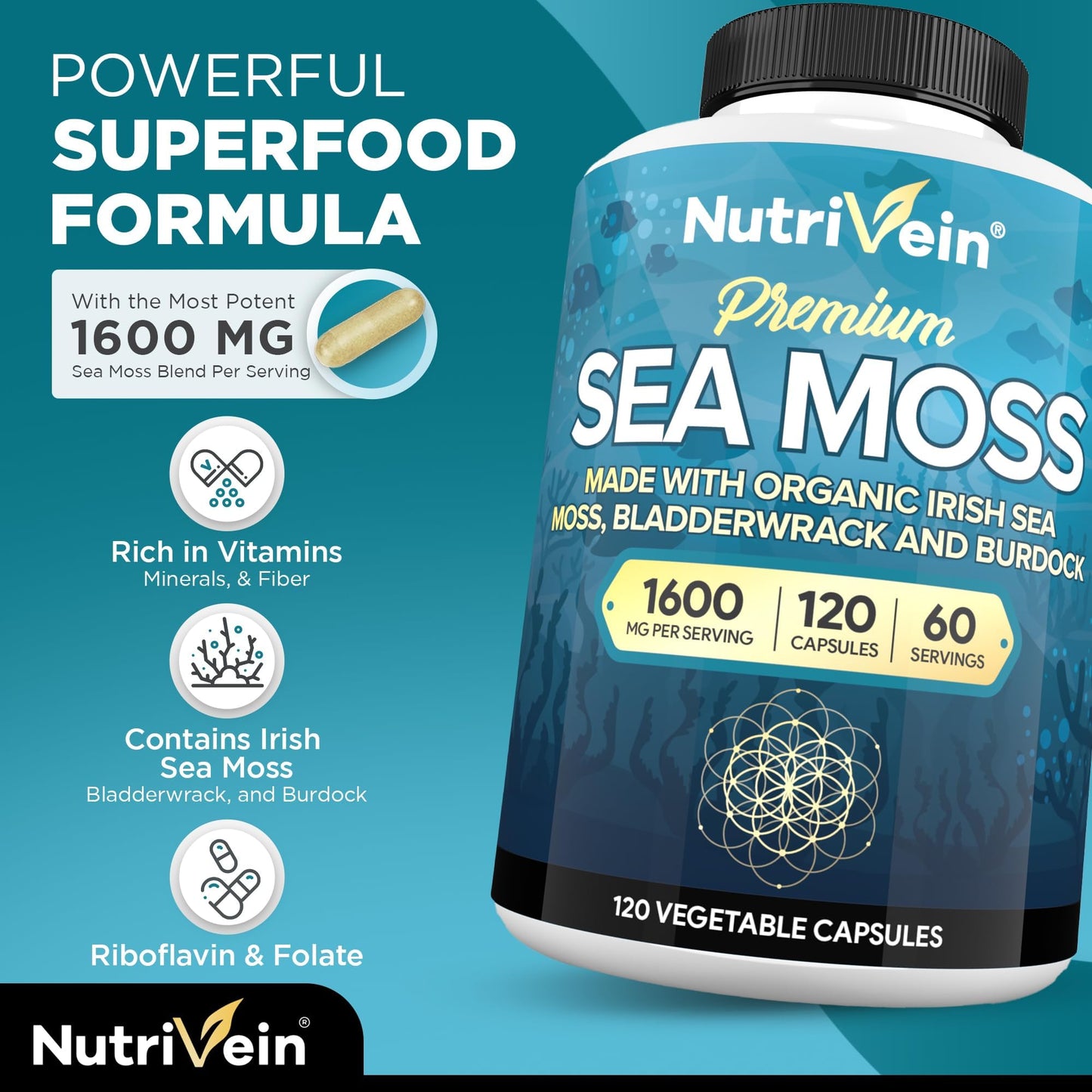 Nutrivein Organic Sea Moss 1600mg Plus Bladderwrack & Burdock - 120 Caps for Adults - Prebiotic Super-Food - Immune System & Digestive Health - dailyvitalstore