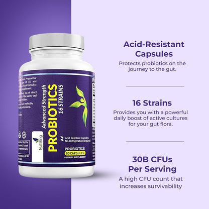 NutriZing Vegan Probiotics for Digestive Health - 30 Billion CFU & 16 strains - Bifidobacterium & Lactobacillus Probiotics for Men & Women - dailyvitalstore