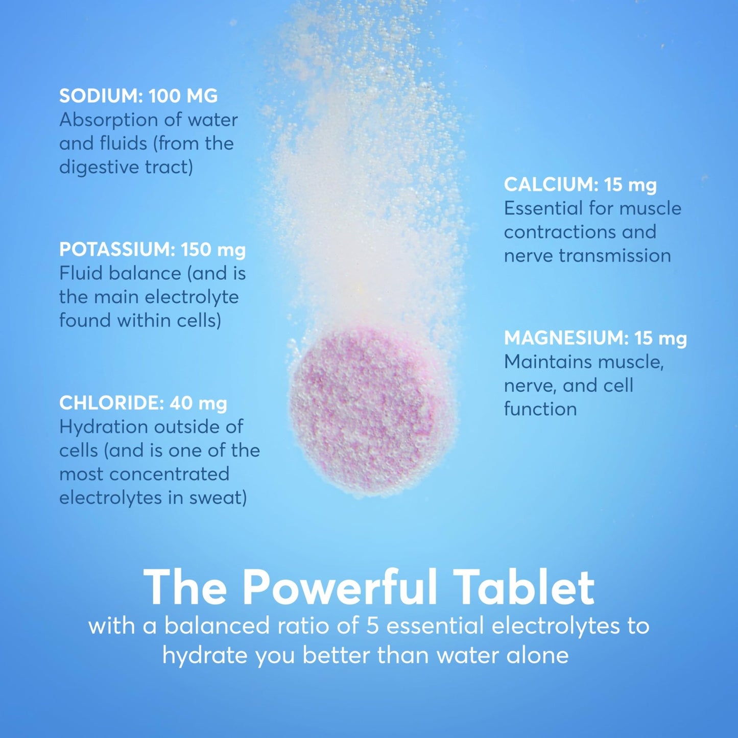 Nuun Immunity Electrolyte Tablets with Vitamin D, C, E, & A, Ginger, Elderberry, Magnesium & 4 Other Essential Electrolytes, Vegan, Blueberry Tangerine & Orange Citrus, 4 Pack (40 Servings Total) - dailyvitalstore