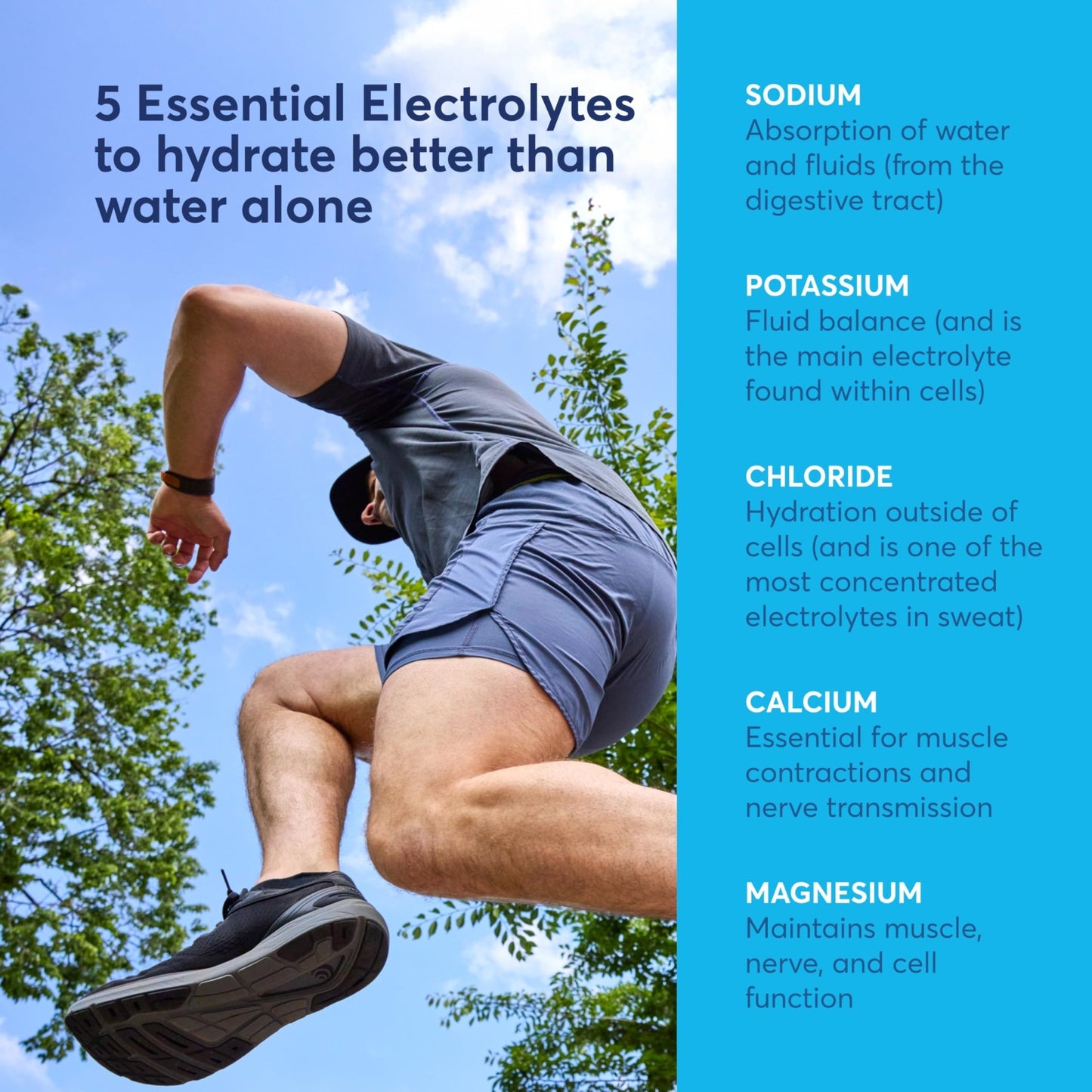 Nuun Sport Electrolyte Powder Packets with Magnesium, Calcium, Potassium, Chloride, and Sodium, Hydration Packets for On-the-Go, Pink Lemonade Flavor, Gluten Free & Vegan, - dailyvitalstore