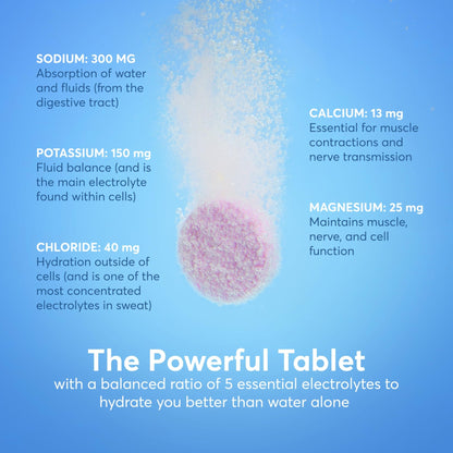 Nuun Sport Electrolyte Tablets with Magnesium, Calcium, Potassium, Chloride & Sodium, Gluten Free & Vegan, - dailyvitalstore