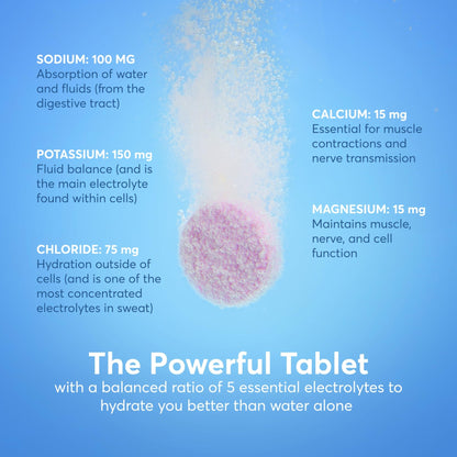 Nuun Vitamins Electrolyte Tablets with Vitamin D, C, E, A, & B6, Folic Acid, Magnesium & 4 Other Essential Electrolytes, Gluten Free & Vegan - dailyvitalstore