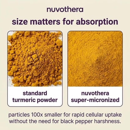 Nuvothera Super-Micronized Turmeric Curcumin Capsules Rapid Absorption, Whole Root, Non-GMO, Skin, Gut Health & Antioxidants (1 Month Pack (60 Capsules)) - dailyvitalstore