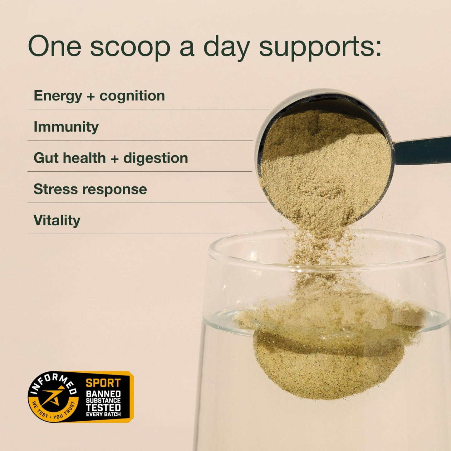 Nuzest Greens Powder Good Green Vitality – Vitamins, Minerals & Superfoods – Vegan Multivitamin Supplement (300g) - dailyvitalstore