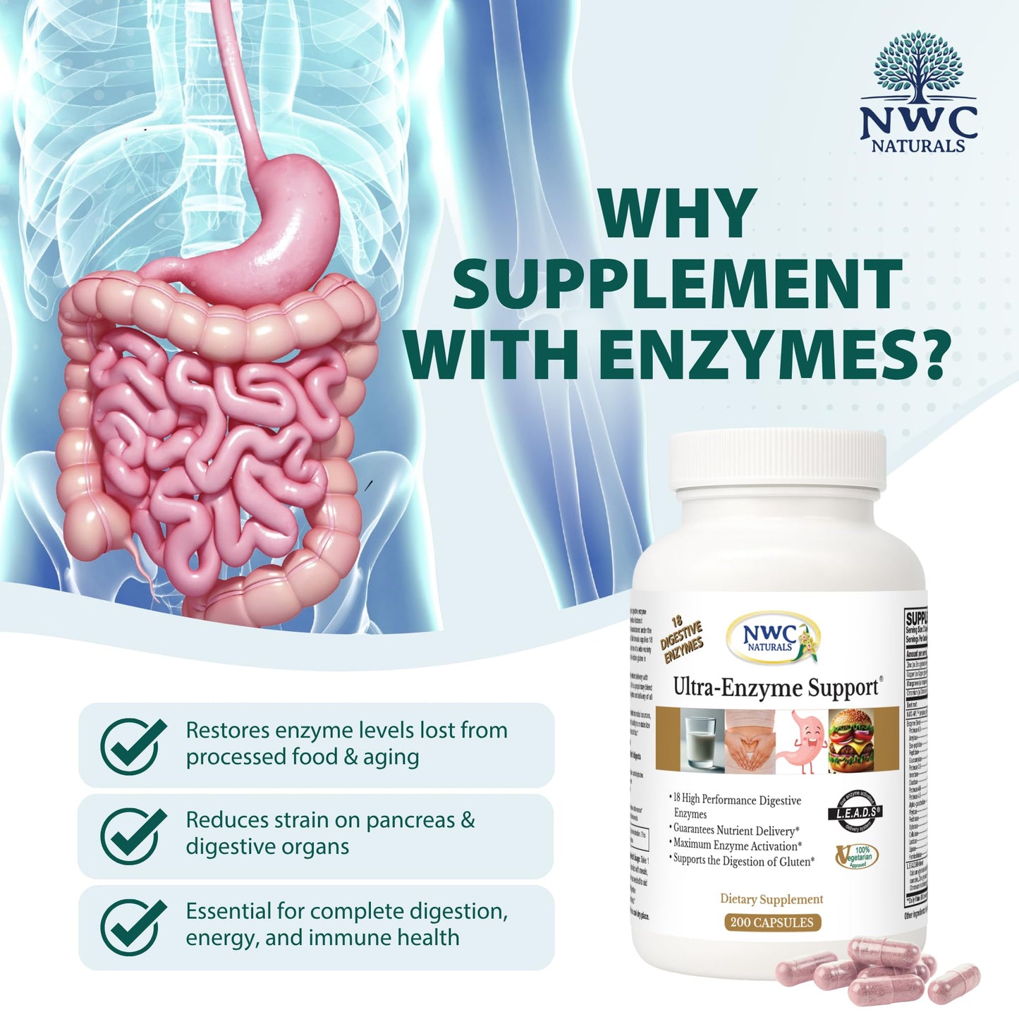 NWC Naturals Ultra-Enzyme Support, Natural Digestive Supplement, Promotes Optimal Health and Digestion, 200 count Capsules - dailyvitalstore