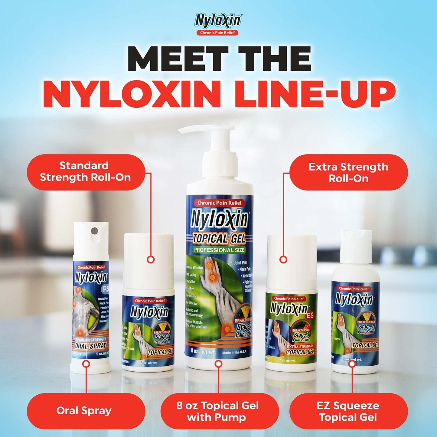 Nyloxin Easy Squeeze Bottle Arthritis Pain Relief Gel, Back Pain Relief, Neuropathy Pain Relief, Nerve Pain Relief, Knee Pain Relief, Foot Pain Relief, Muscle Pain Relief, Joint Pain Relief (2 oz) - dailyvitalstore