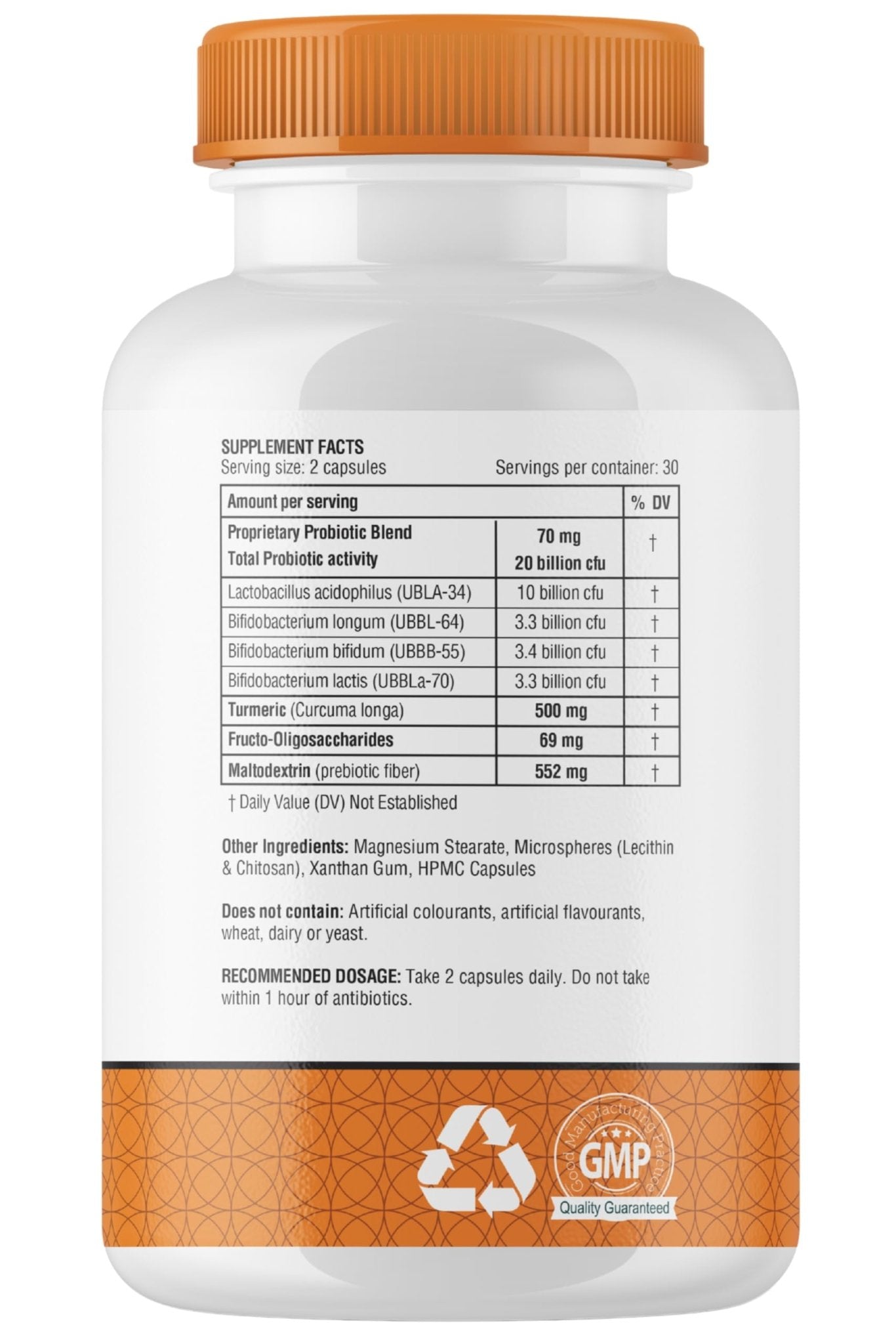 obel Probiotic & Prebiotic Supplement with Turmeric | 20 Billion CFU | 60 Capsules (30 Day Supply) | 4 Strains | Supports Digestion - dailyvitalstore