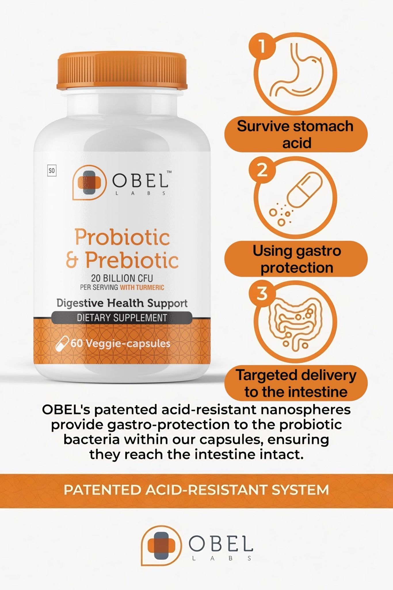 obel Probiotic & Prebiotic Supplement with Turmeric | 20 Billion CFU | 60 Capsules (30 Day Supply) | 4 Strains | Supports Digestion - dailyvitalstore