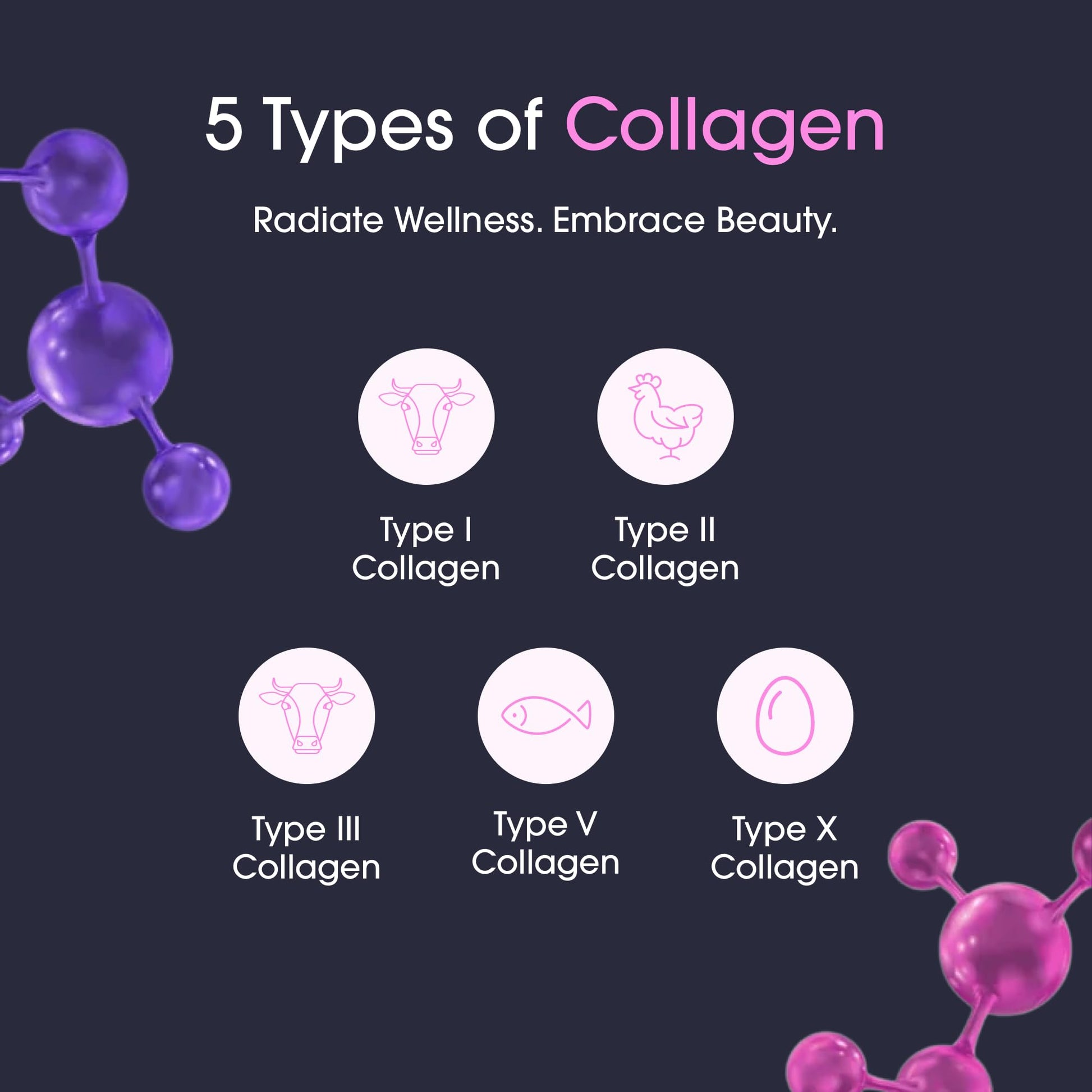 Obvi Burn Elite - Collagen Supplement for Women - Fitness Support - Metabolism Support Supplement - Healthy Mobility - Natural Thermogenic Formula - dailyvitalstore