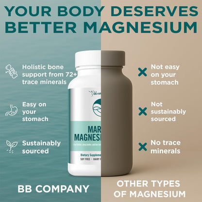 Ocean Magnesium 200mg Aquamin | More Soluble Than Magnesium Glycinate | Whole Food Mag B6 Supplement for Women | Gentle on Stomach & Vegan | Sleep Support, Calms Nerves & Leg Cramps | 60 Ct - dailyvitalstore