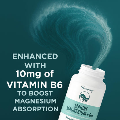 Ocean Magnesium 200mg Aquamin | More Soluble Than Magnesium Glycinate | Whole Food Mag B6 Supplement for Women | Gentle on Stomach & Vegan | Sleep Support, Calms Nerves & Leg Cramps | 60 Ct - dailyvitalstore