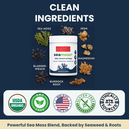 Ocean's Balance Seacleanse+ Daily Detox Cleanse Powder | Gut Health & Immune Support | Supports Gentle Cleanse & Vitality | 8oz - dailyvitalstore