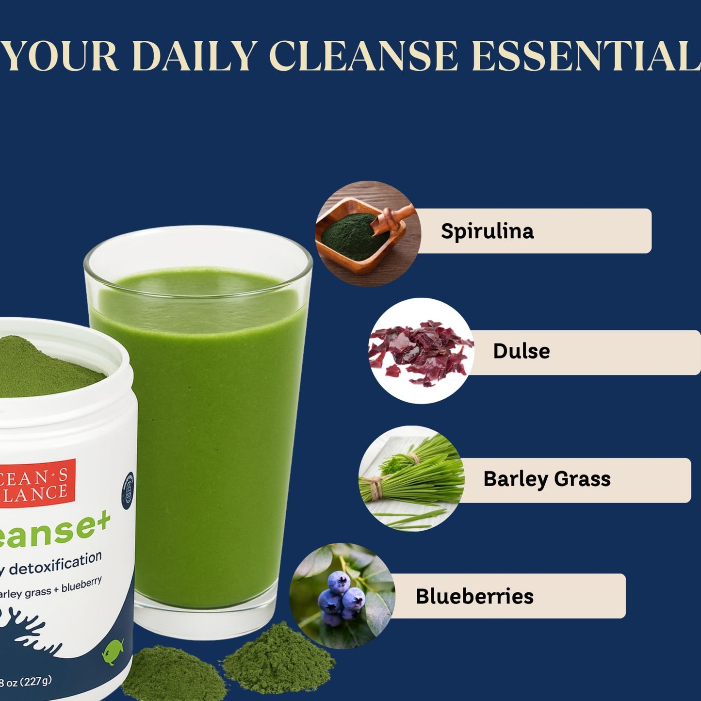 Ocean's Balance Seacleanse+ Daily Detox Cleanse Powder | Gut Health & Immune Support | Supports Gentle Cleanse & Vitality | 8oz - dailyvitalstore