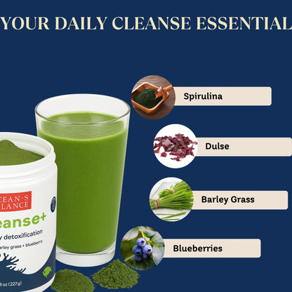Ocean's Balance Seacleanse+ Daily Detox Cleanse Powder | Gut Health & Immune Support | Supports Gentle Cleanse & Vitality | 8oz - dailyvitalstore