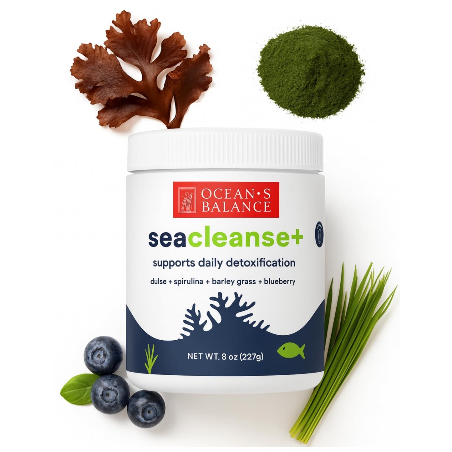 Ocean's Balance Seacleanse+ Daily Detox Cleanse Powder | Gut Health & Immune Support | Supports Gentle Cleanse & Vitality | 8oz - dailyvitalstore