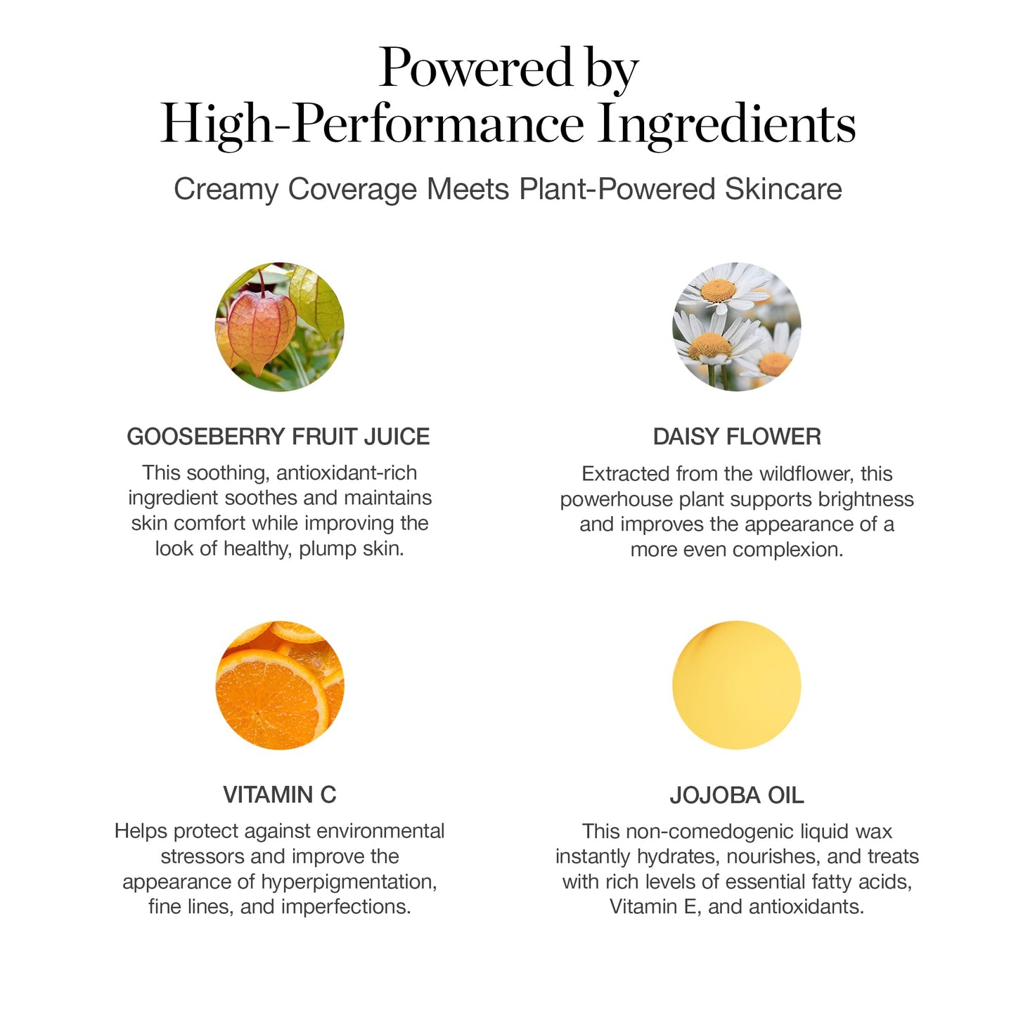Ogee Complexion Perfecting Liquid Foundation - Lightweight Tinted Moisturizer For Face (Spruce 12.75N - Deep, Bronze Undertones) - with Vitamin C & Jojoba Oil - Certified Organic & Made in USA - dailyvitalstore