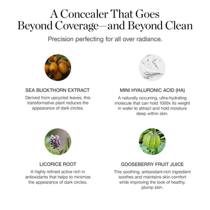 Ogee Complexion Perfecting Under Eye Concealer - Certified Organic Full Coverage Concealer - Buildable Coverage - OSIER 1.75W - Light Medium (Olive Undertones) - dailyvitalstore