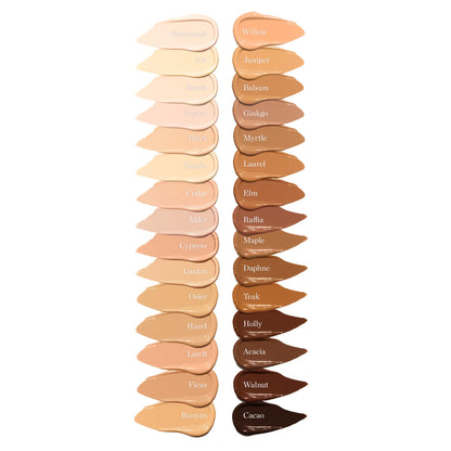 Ogee Complexion Perfecting Under Eye Concealer - Certified Organic Full Coverage Concealer - Buildable Coverage - OSIER 1.75W - Light Medium (Olive Undertones) - dailyvitalstore
