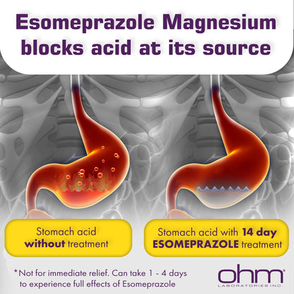 Ohm Esomeprazole Magnesium Delayed Release Capsules 20mg - Frequent Heartburn & Acid Reflux Relief, 24 Hour Chest & Stomach Acid Reducer (6 Weeks of Supply, 42, Count) - dailyvitalstore