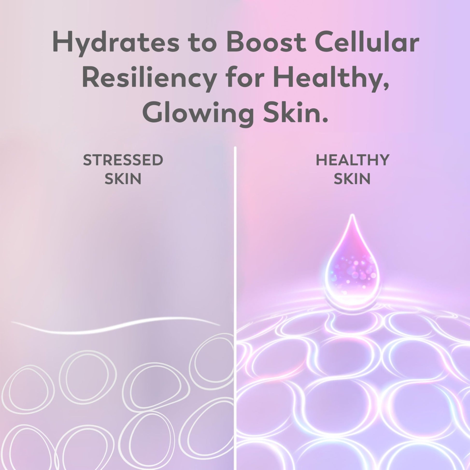 Olay Super Serum Night Repair, Fragrance-Free - Niacinamide, Peptide, Salicylic & Lactic Acid, Glycerin - 5-in-1 Skin Care Benefits - Hydrating, Evens Tone - dailyvitalstore
