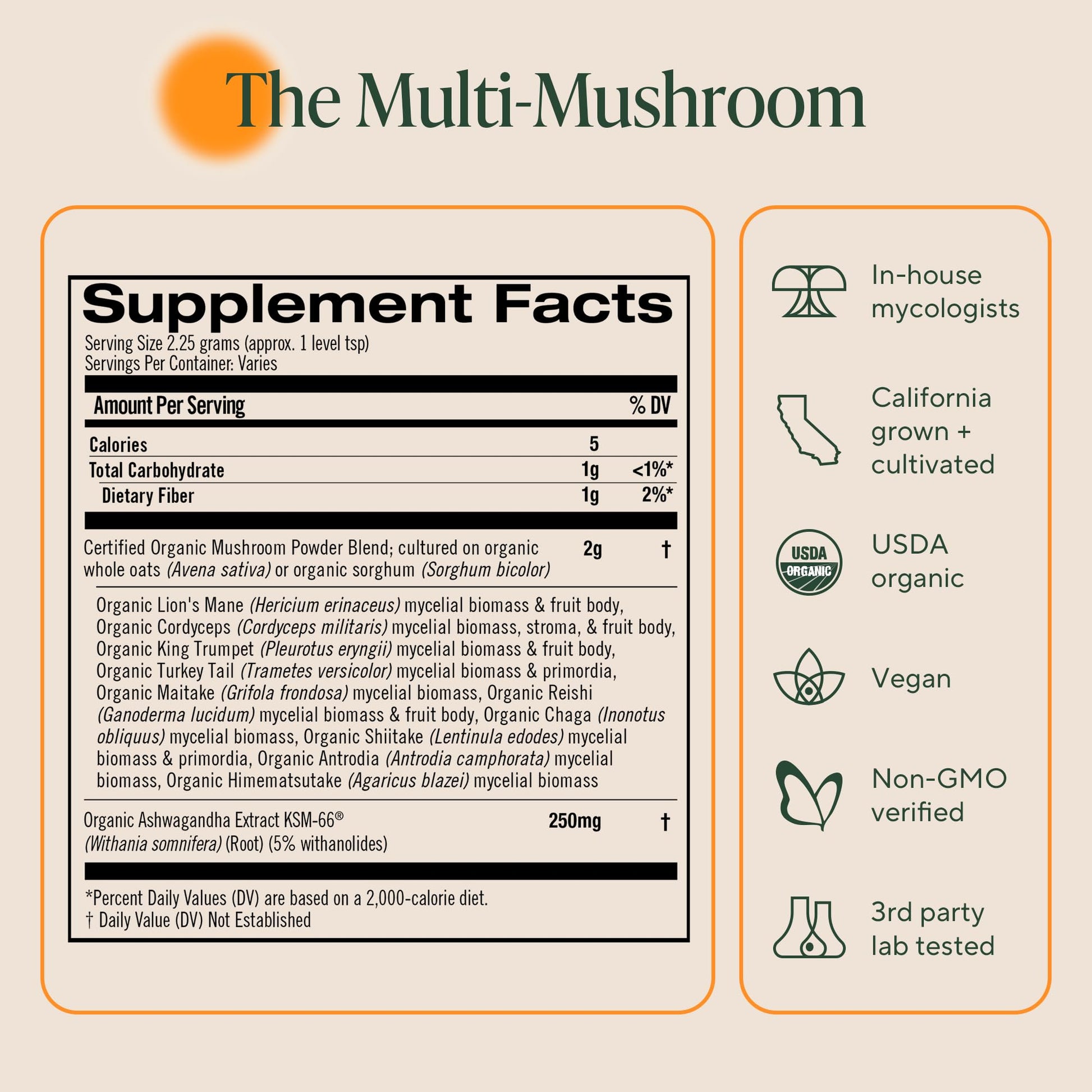 Om Master Blend Mushroom Powder – Organic Mushroom Supplement with 10 Mushrooms and Ashwagandha - Support Immunity, Gut Health & Stress Relief, - dailyvitalstore