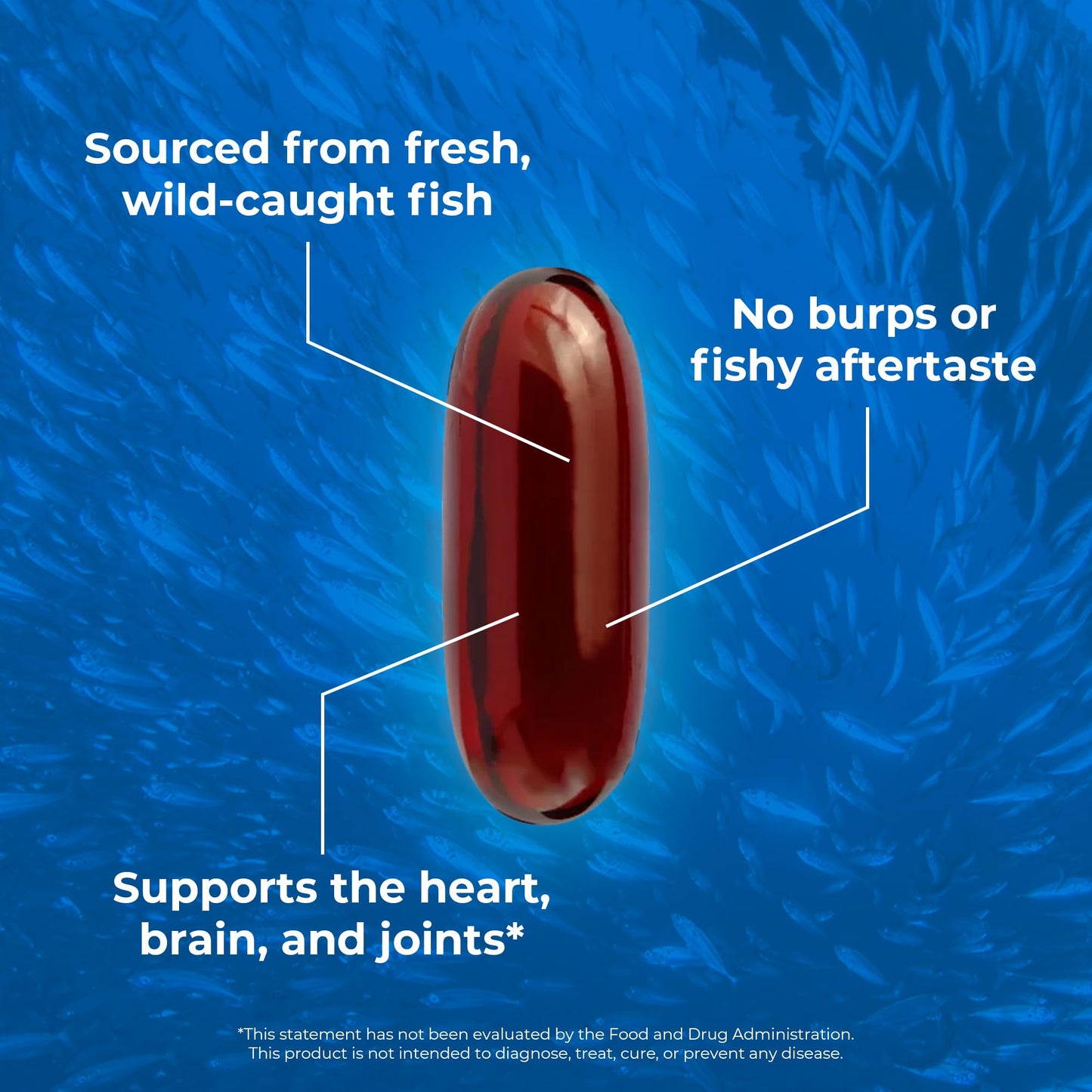 OMAPURE Fish Oil Omega 3 Supplements - Triple Strength - High EPA, DHA - IFOS Lab Tested - Supports Heart & Brain Health - Burpless Capsules - Wild Caught - (3 Bottles - 120 Softgels Per Bottle) - dailyvitalstore
