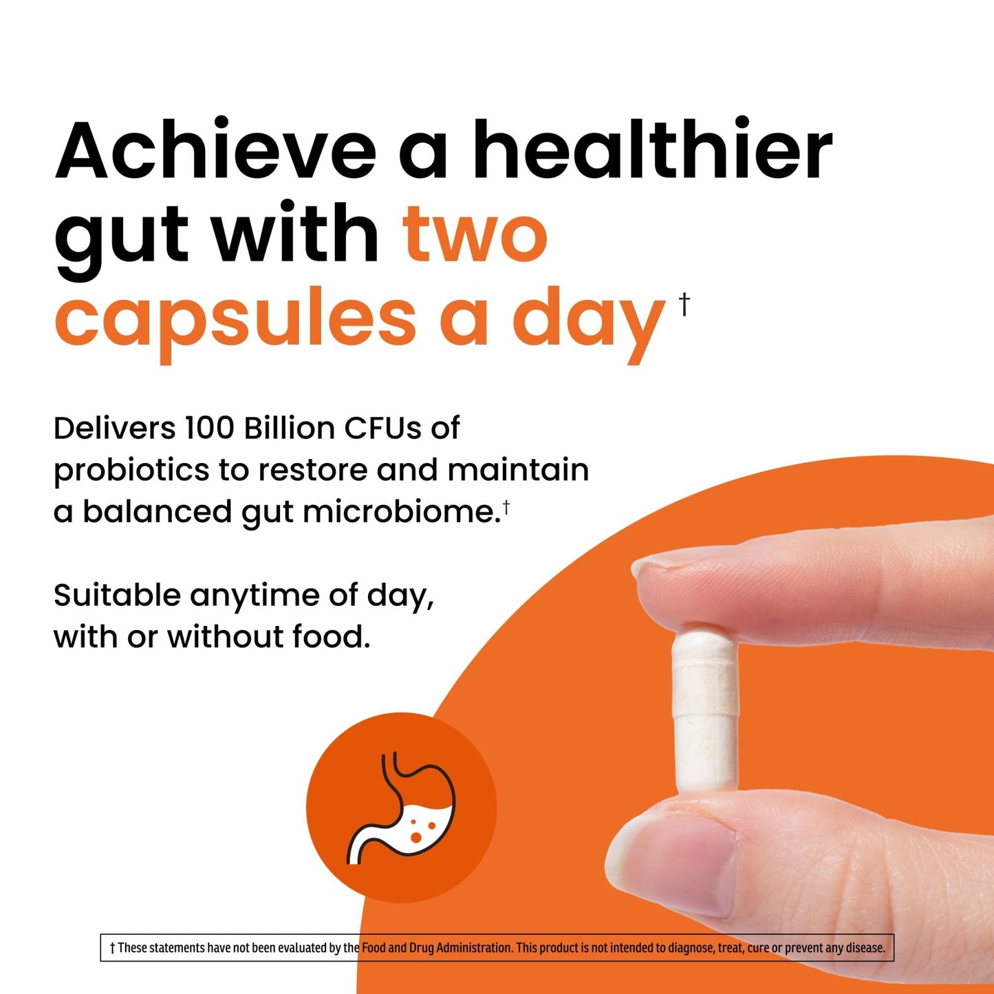 Ombre Healthy Gut Probiotics for Digestive Health 100 Billion CFU - Prebiotics and Probiotics for Women & Men with Lactobacillus Acidophilus & Digestive Enzymes, Gut Health Support, Vegan, 30 Servings - dailyvitalstore