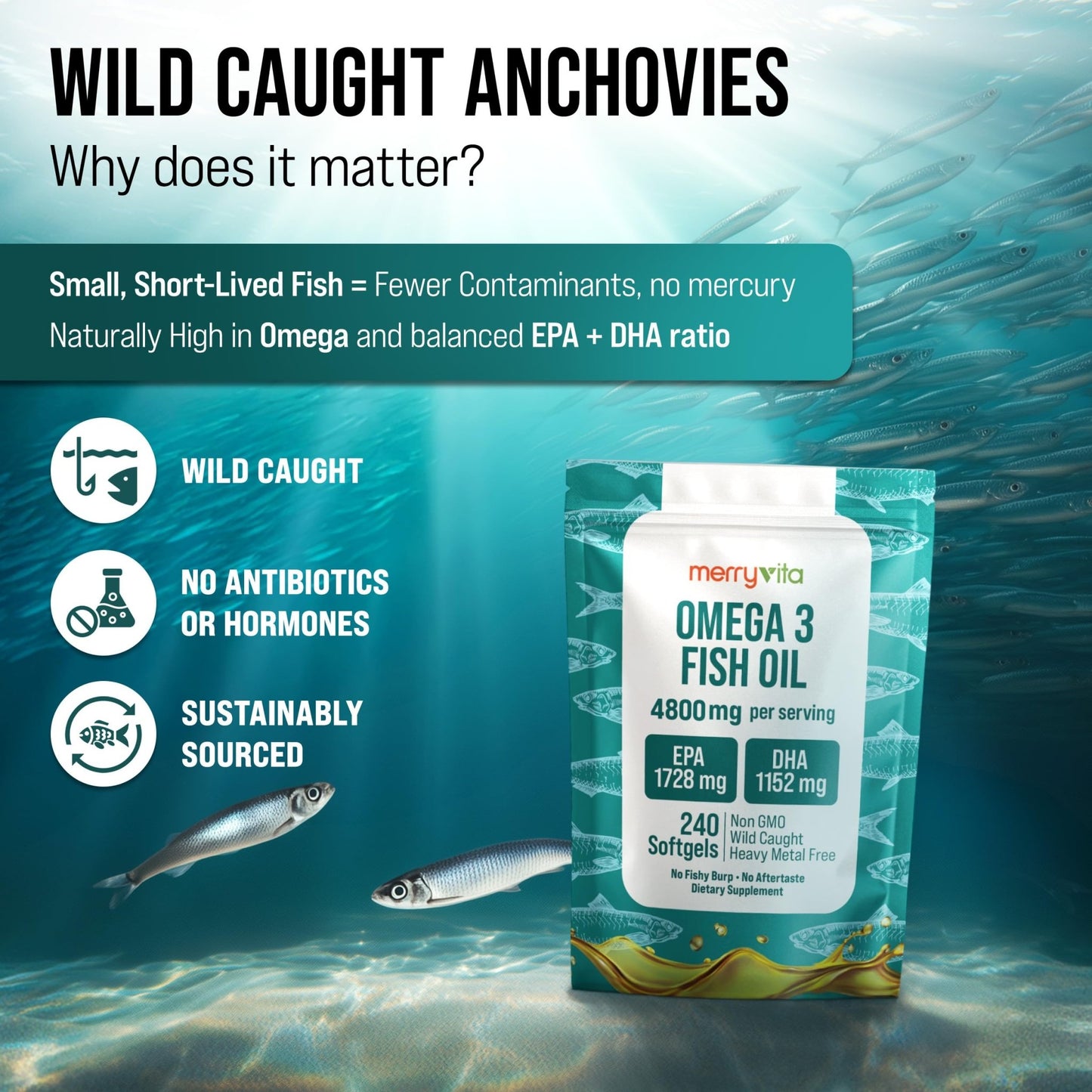 Omega 3 Fish Oil 4800 mg – EPA 1728 mg | DHA 1152 mg from Wild-Caught Anchovies – Burpless Mini Softgels – Pure Omega-3 Fatty Acid Supplement – Non-GMO, Gluten-Free, No Aftertaste – 240 Capsules - dailyvitalstore