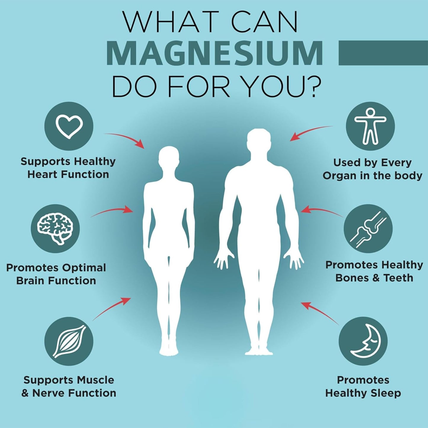 OmniBiotics Magnesium Glycinate Supplement – with 100% Pure Albion TRAACS Bisglycinate Chelate for Sleep, Muscle, Nerve & Heart Health – 120 Vegan Capsules - dailyvitalstore