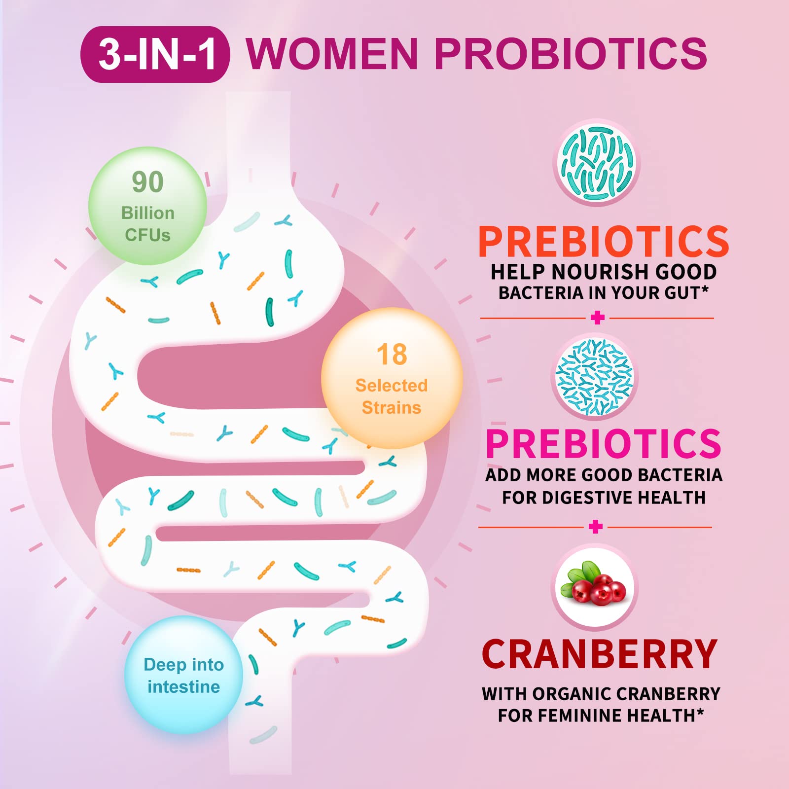 OMOGS 2PCS Women's Probiotic, with Cranberry Extract, Organic Prebiotics & Vitamin C, 90 Billion CFUs,18 Strains, Help for Boost Immune, Digestive, Gut Health & Women's Health,180 Tablets - dailyvitalstore