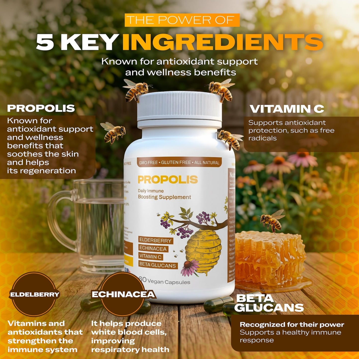 Only Nutri Labs Bee Propolis Dietary Supplement, with Elderberry, Echinacea, Vitamin C and Beta Glucans - Daily Wellness Capsules for Adults (60 Count) - dailyvitalstore
