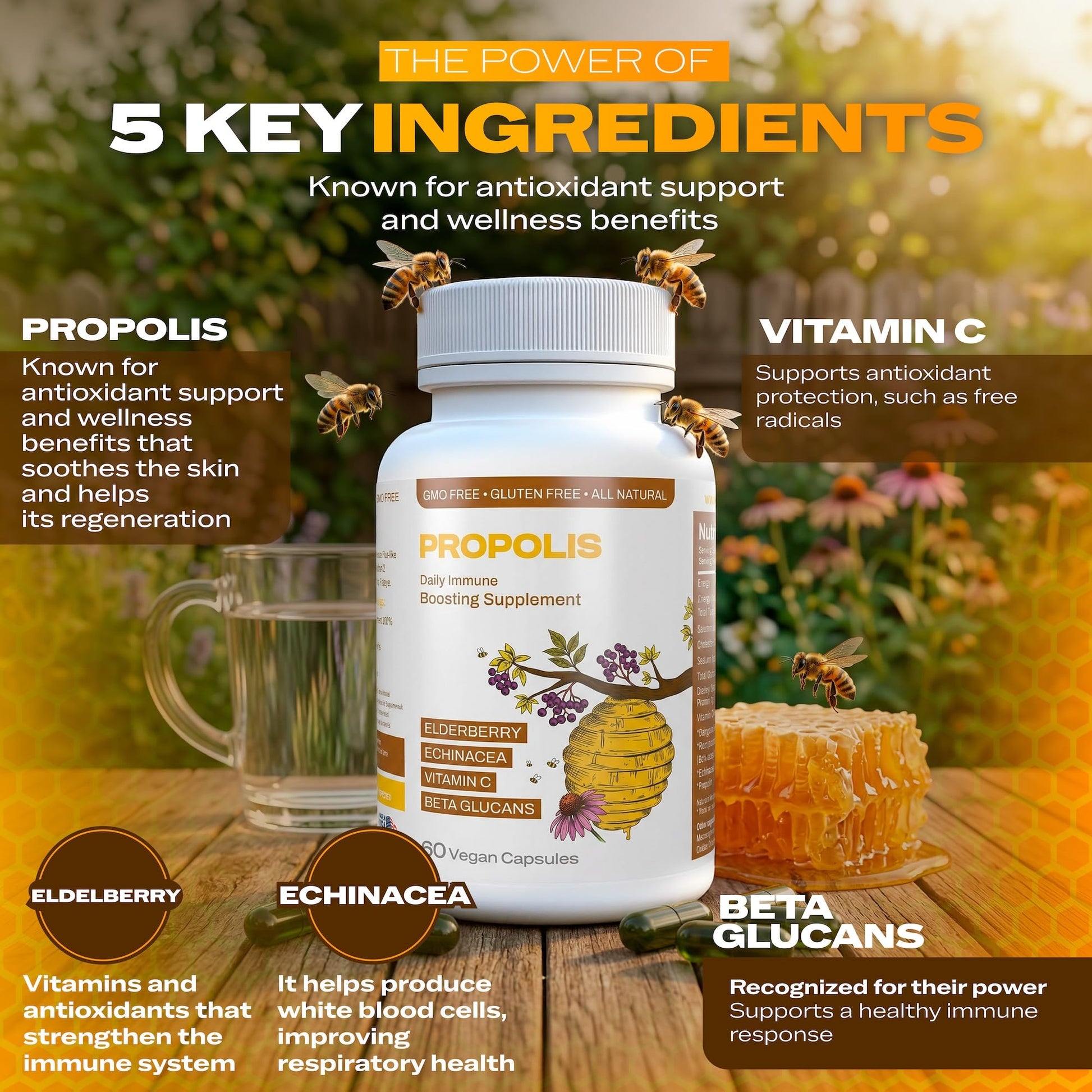 Only Nutri Labs Bee Propolis Dietary Supplement, with Elderberry, Echinacea, Vitamin C and Beta Glucans - Daily Wellness Capsules for Adults (60 Count) - dailyvitalstore