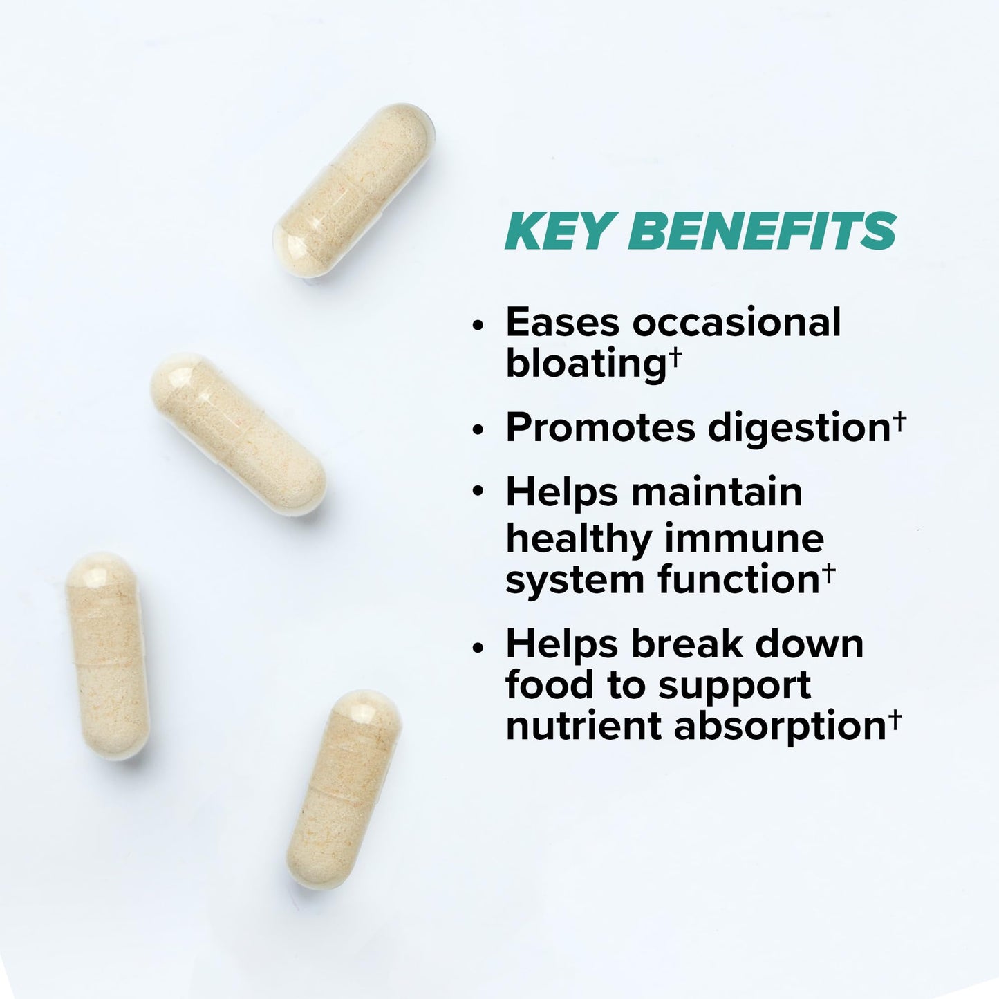 ONNIT Total Gut Health Daily Digestive Support, IGEN™ Non-GMO Tested Digestion Supplement for Women and Men with 7 Strains of Probiotics, - dailyvitalstore
