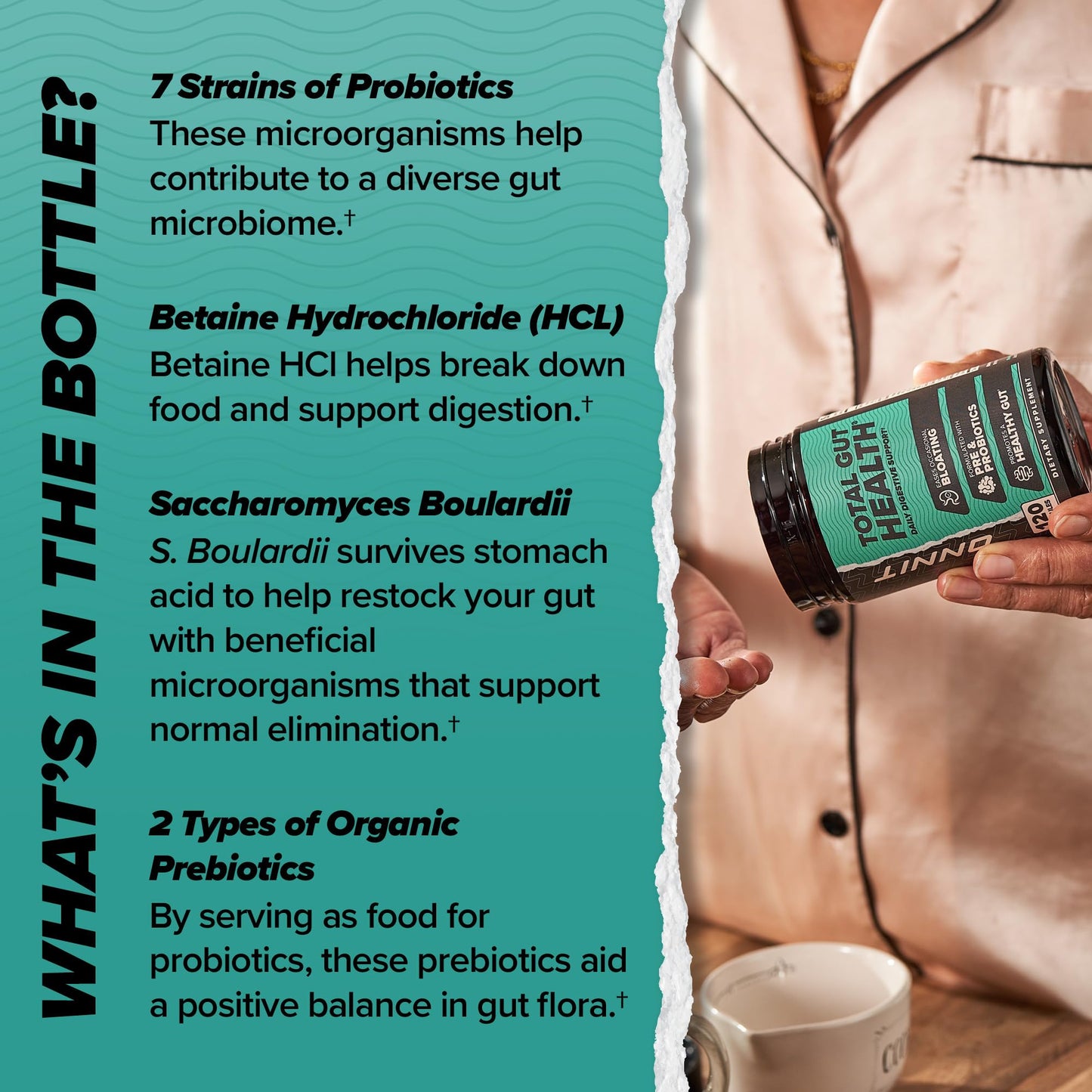 ONNIT Total Gut Health Daily Digestive Support, IGEN™ Non-GMO Tested Digestion Supplement for Women and Men with 7 Strains of Probiotics, - dailyvitalstore