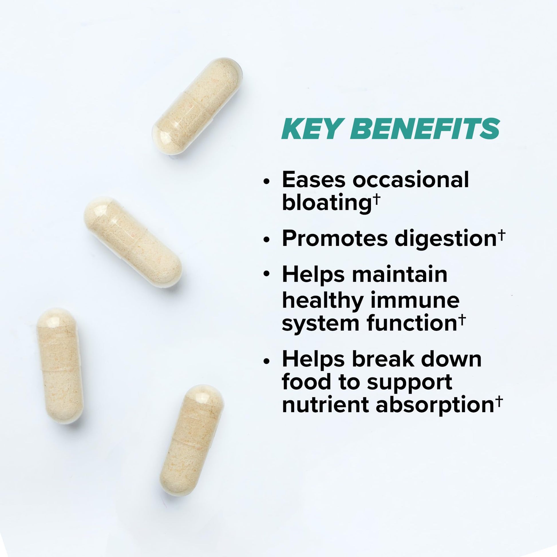 ONNIT Total Gut Health Daily Digestive Support, IGEN Non-GMO Tested Digestion Supplement for Women and Men with 7 Strains of Probiotics, Prebiotics, - dailyvitalstore
