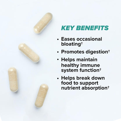 ONNIT Total Gut Health Daily Digestive Support, IGEN Non-GMO Tested Digestion Supplement for Women and Men with 7 Strains of Probiotics, Prebiotics, - dailyvitalstore