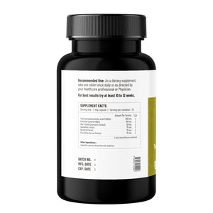 Onpharno TUDCA Advance – 250mg TUDCA, NAC, Milk Thistle, Dandelion, Burdock & Picrorhiza Extract – 30 Liquid-Filled Veg Capsules - dailyvitalstore