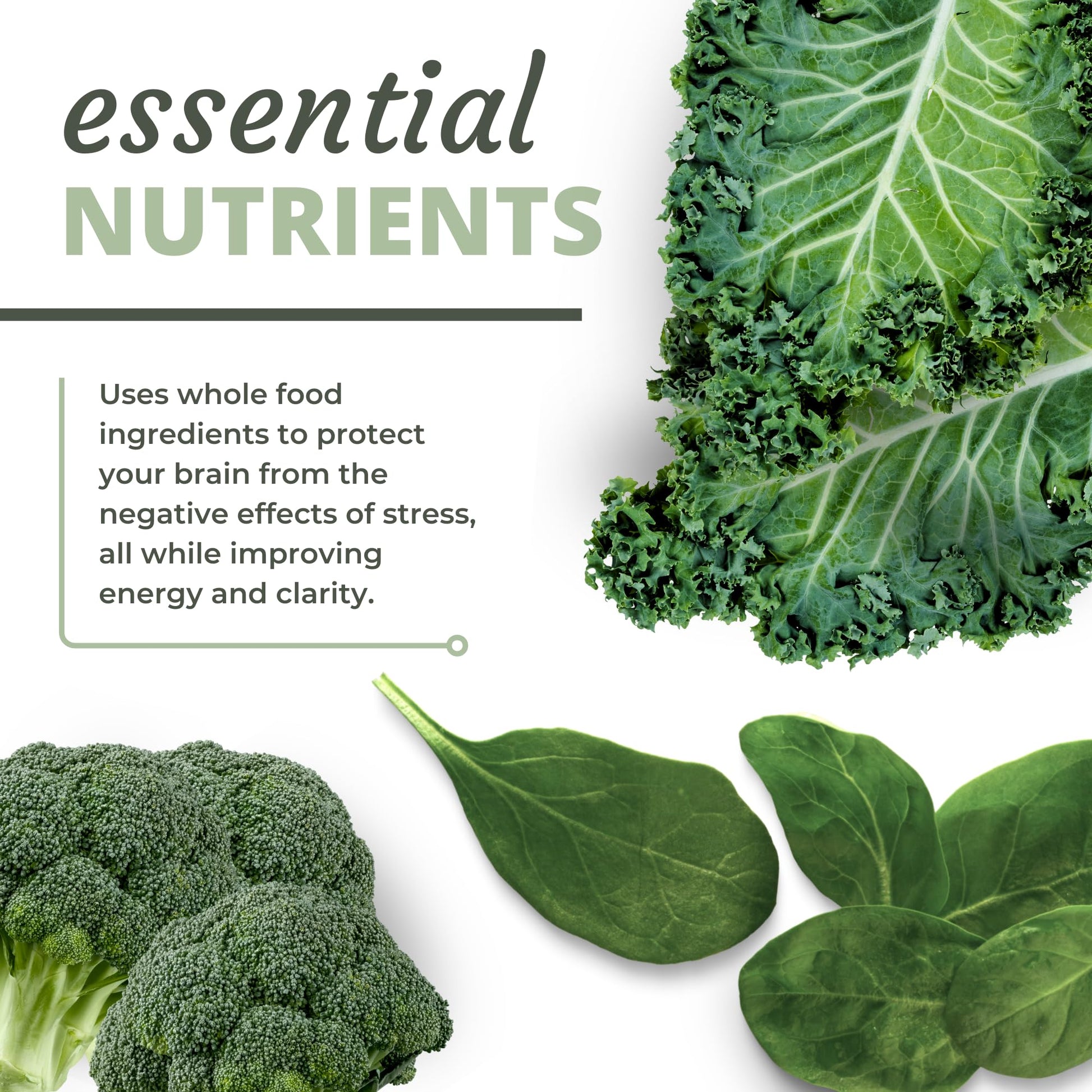 Optimal Health Systems NADH + DIM | Dr. Harris Essentials | Energy + Neurotransmitter Support | Plant-Based | Mental Clarity, Concentration, & Memory Supplement | 30 Capsules - dailyvitalstore