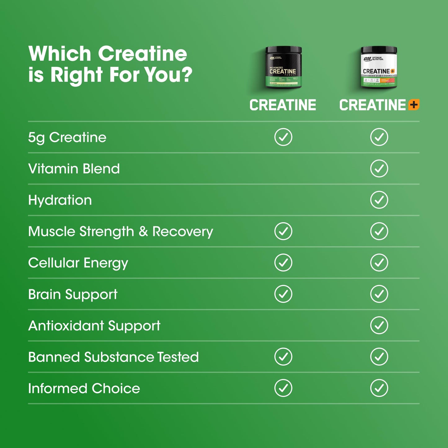 Optimum Nutrition Creatine Monohydrate Plus Powder, Orange Passionfruit Flavored Creatine Performance Blend With Electrolytes for Hydration, Added Vitamins, 40 Servings, 360 Grams (Packaging May Vary) - dailyvitalstore