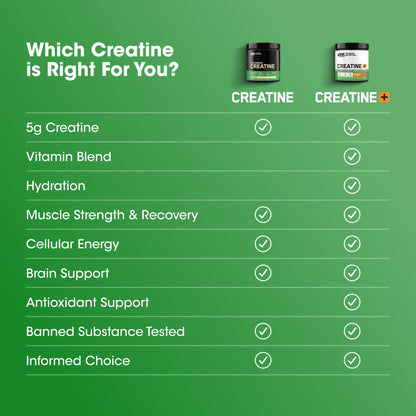 Optimum Nutrition Creatine Monohydrate Plus Powder, Orange Passionfruit Flavored Creatine Performance Blend With Electrolytes for Hydration, Added Vitamins, 40 Servings, 360 Grams (Packaging May Vary) - dailyvitalstore