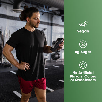 Optimum Nutrition Gold Standard 100% Plant Based Protein Powder, Gluten Free, Vegan Protein for Muscle Support and Recovery with Amino Acids - Creamy Vanilla, 20 Servings (Packaging May Vary) - dailyvitalstore