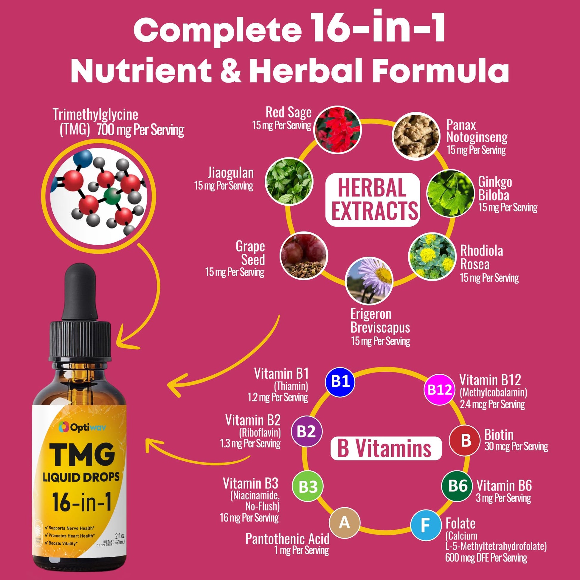 Optiwav TMG Trimethylglycine Liquid Drops - Betaine High Absorption Methylated Vitamins Supplement for Homocysteine Methylation & Heart Health Support - Orange Flavor Gluten Free Vegan - 2 fl oz - dailyvitalstore