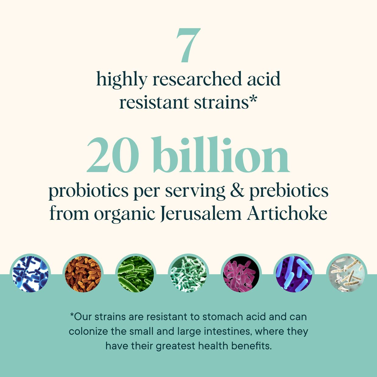 Ora Organic Prebiotic and Probiotic Powder Supplement - 20 Billion Probiotics, 7 Strains for Best Prebiotic Powder, Non-GMO, Probiotics for Women, Men & Kids - Lavender Lemonade Flavor, 30 Servings - dailyvitalstore
