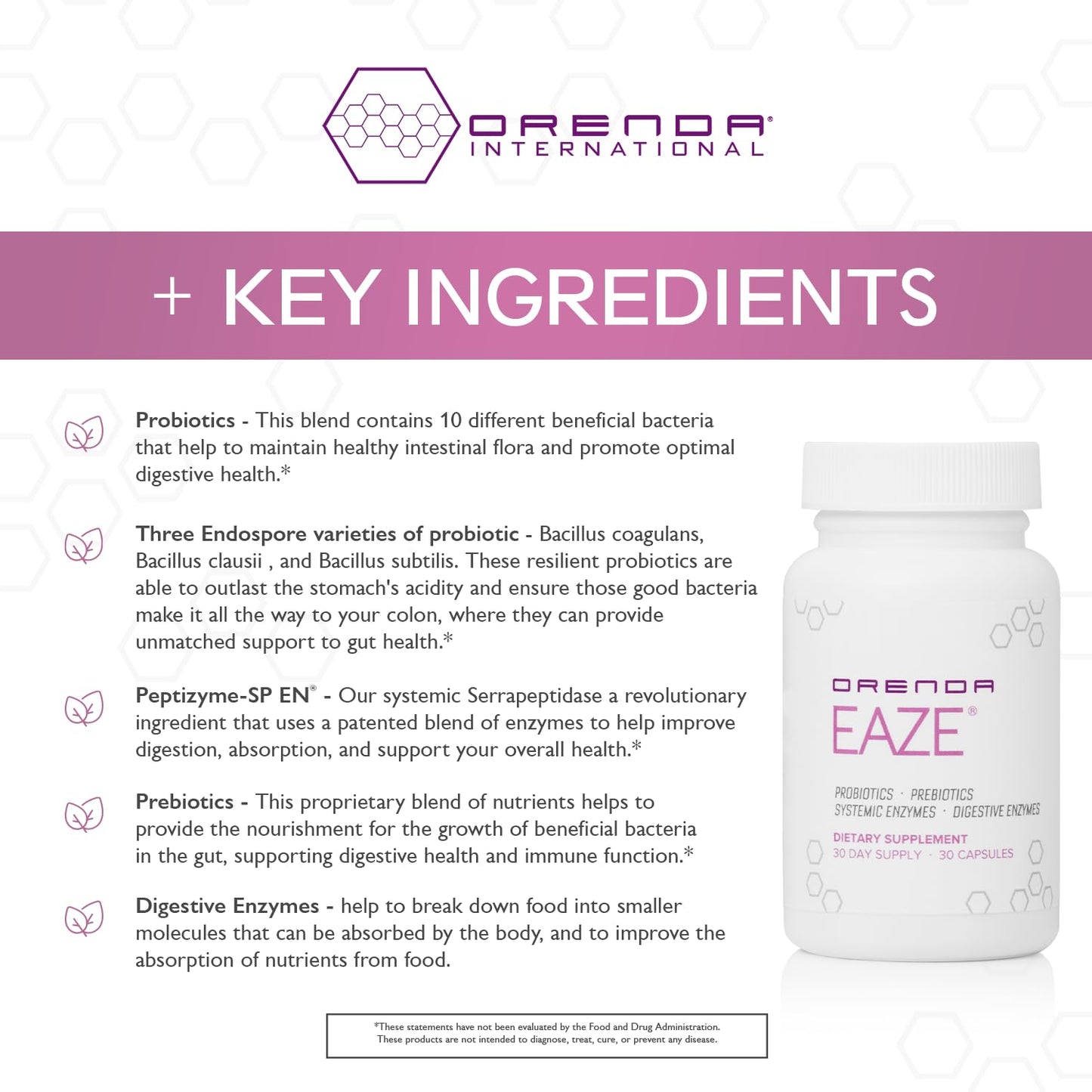 Orenda Eaze®: Gut Wellness Capsules | 6-in-1 Digestive Support with Probiotics, Endospores, Peptizyme-SP EN, Prebiotics, and Digestive Enzymes - dailyvitalstore
