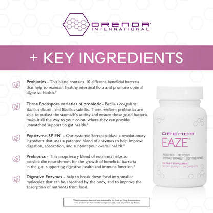 Orenda Eaze®: Gut Wellness Capsules | 6-in-1 Digestive Support with Probiotics, Endospores, Peptizyme-SP EN, Prebiotics, and Digestive Enzymes - dailyvitalstore